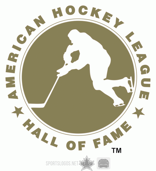 American Hockey League 2005 06-Pres Misc Logo iron on heat transfer